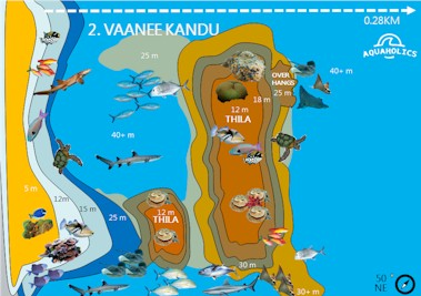 Vaanee Kandu
